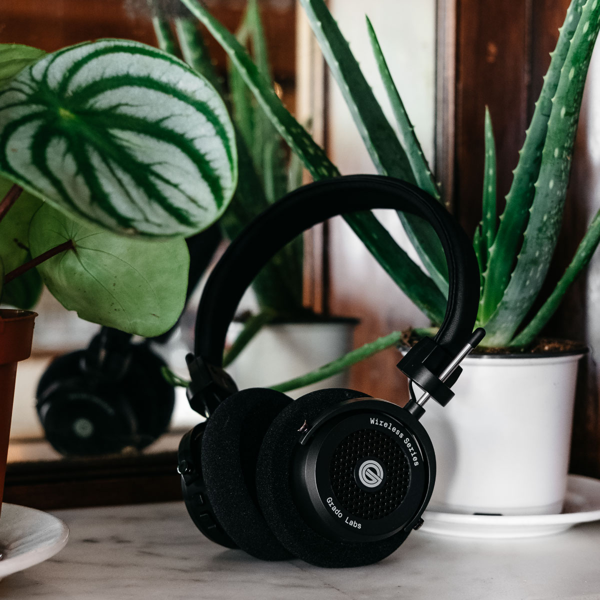 GW100x