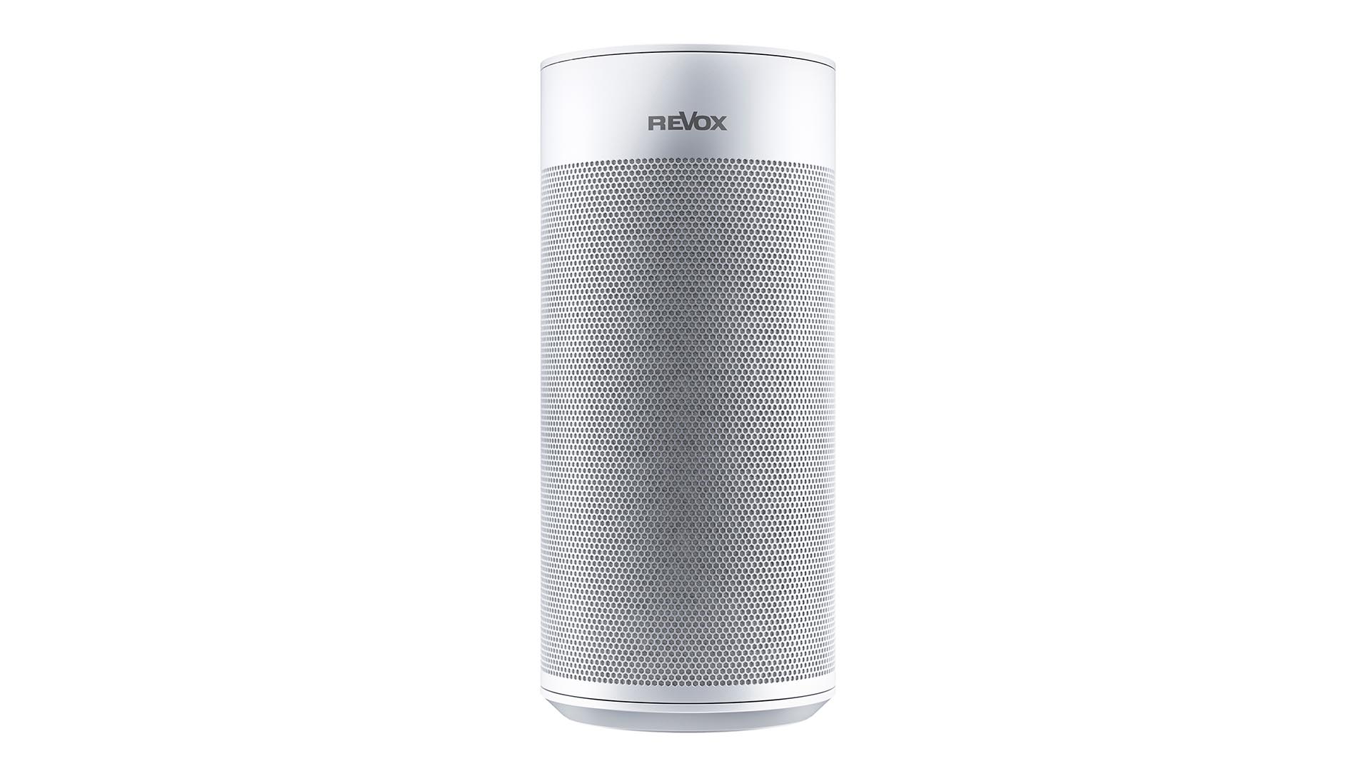 STUDIOART A100 ROOM SPEAKER
