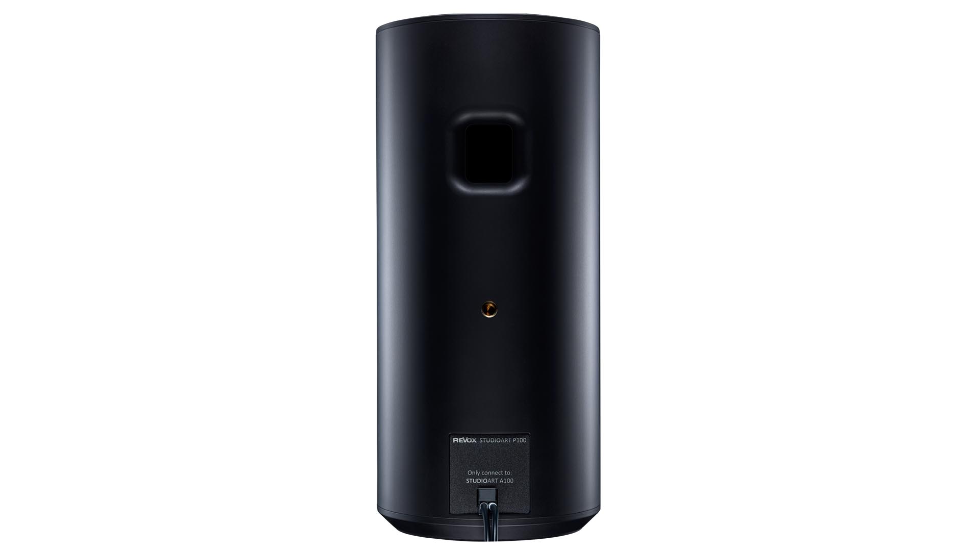 STUDIOART P100 ROOM SPEAKER