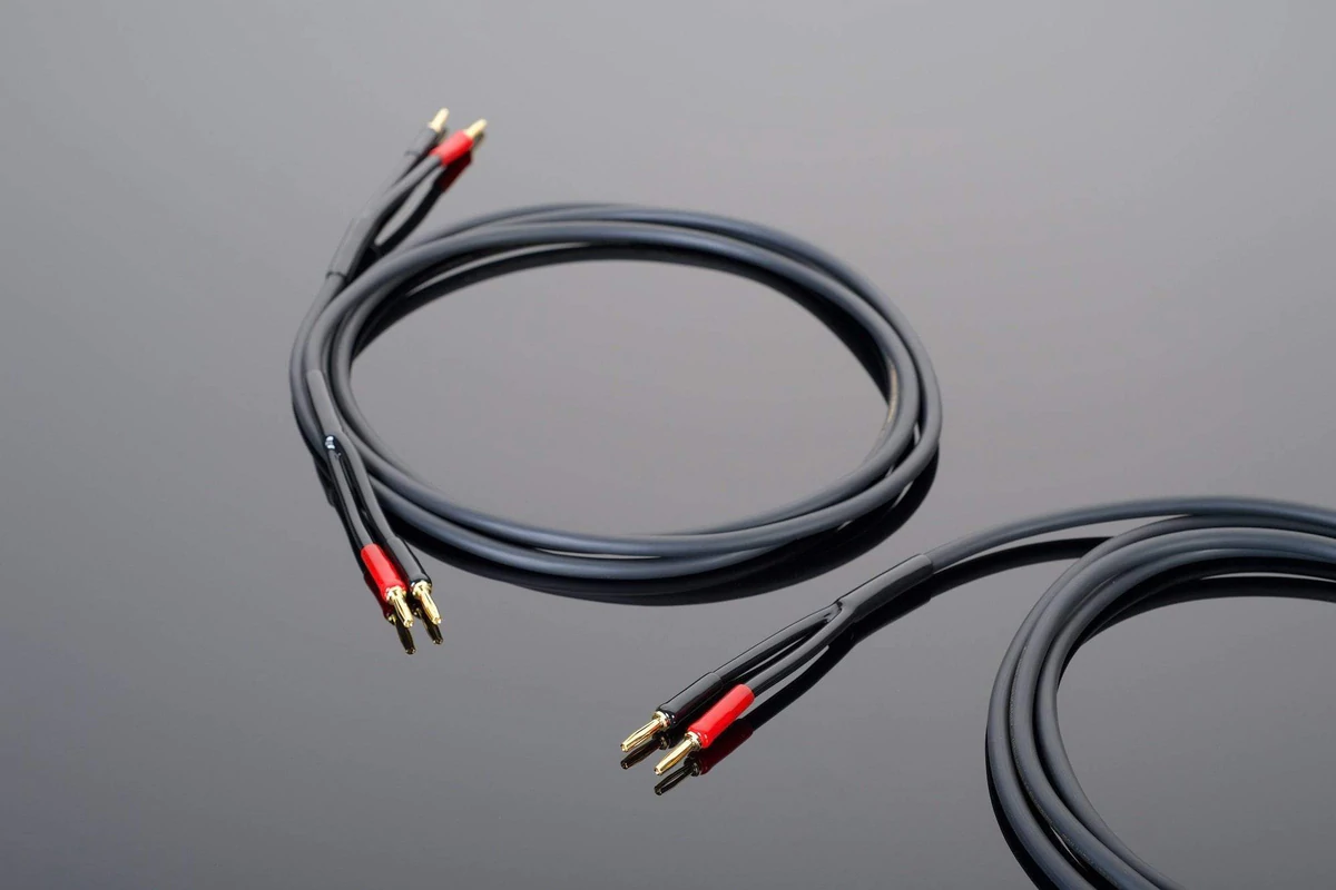 HARDWIRED SPEAKER CABLE