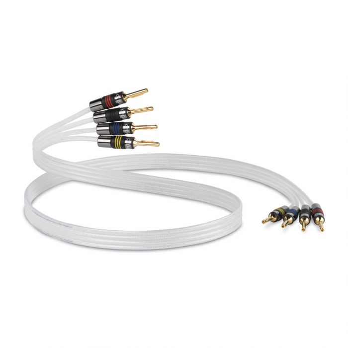 REFERENCE Silver Anniversary XT Bi-Wire